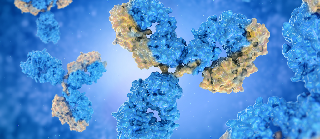 antibodies