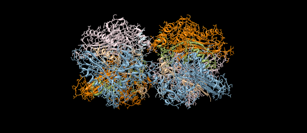 antibody-sequencing