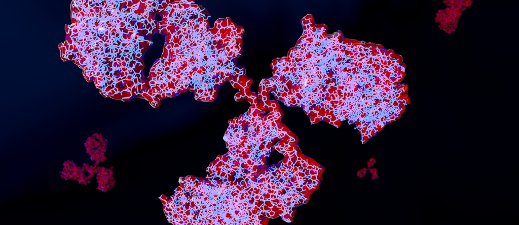 antibody