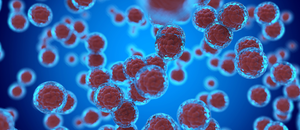 biomarker-discovery
