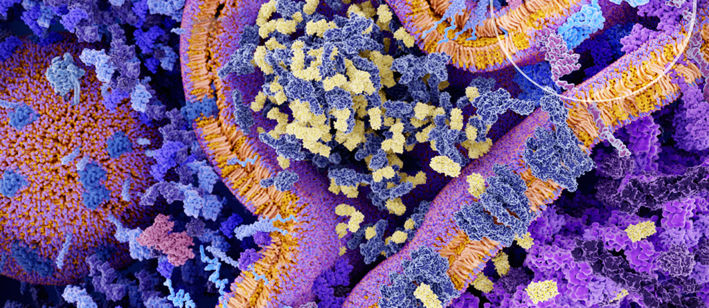 biomolecular