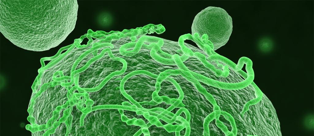 ebola