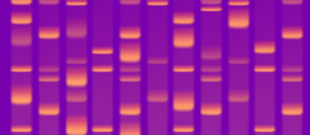 genome