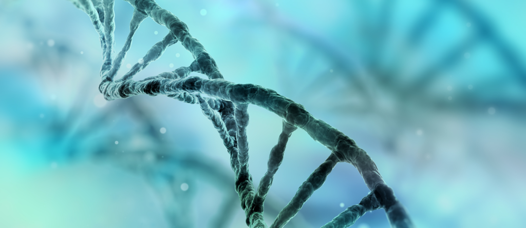 human-genetics