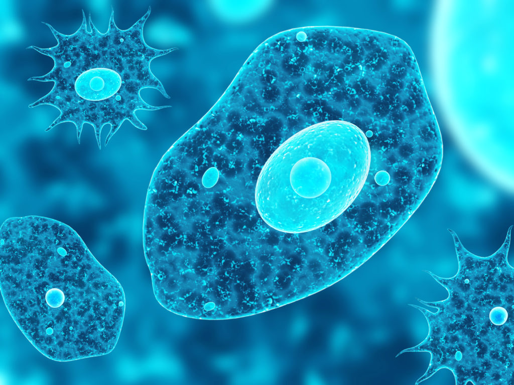 cell-article