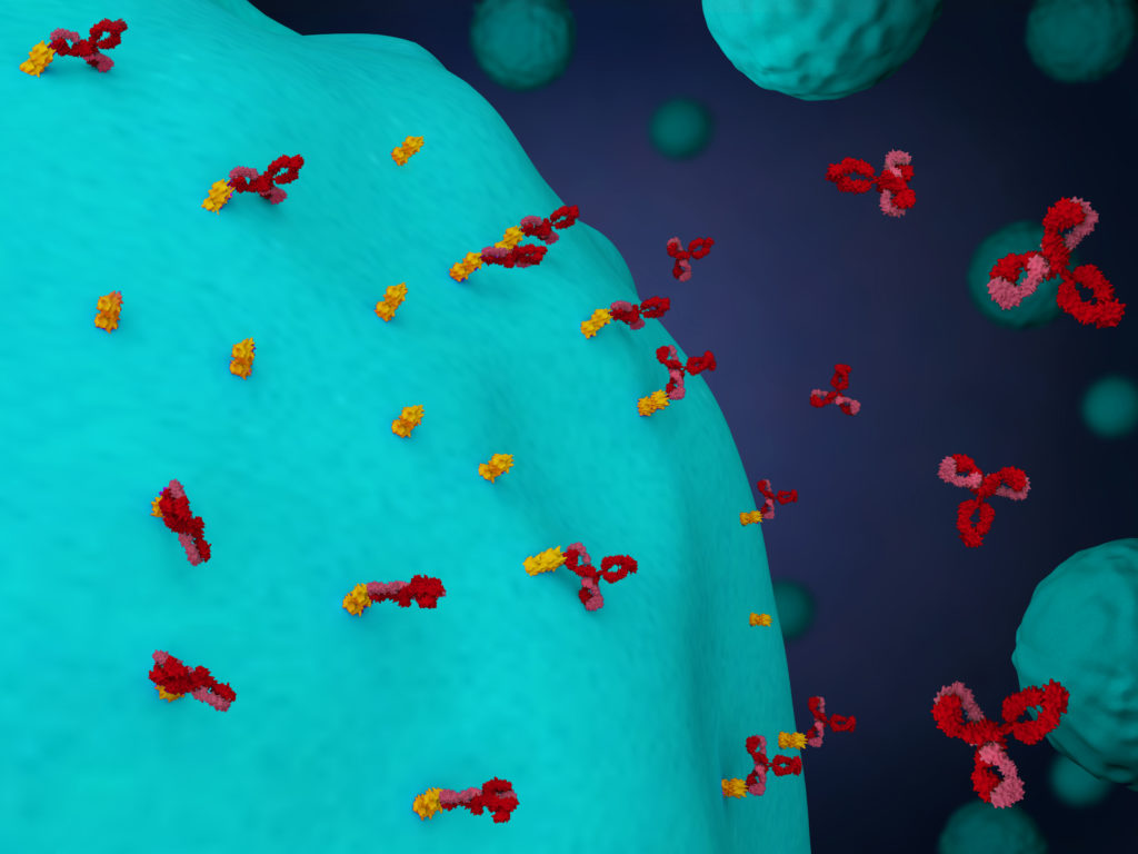 monoclonal-antibody