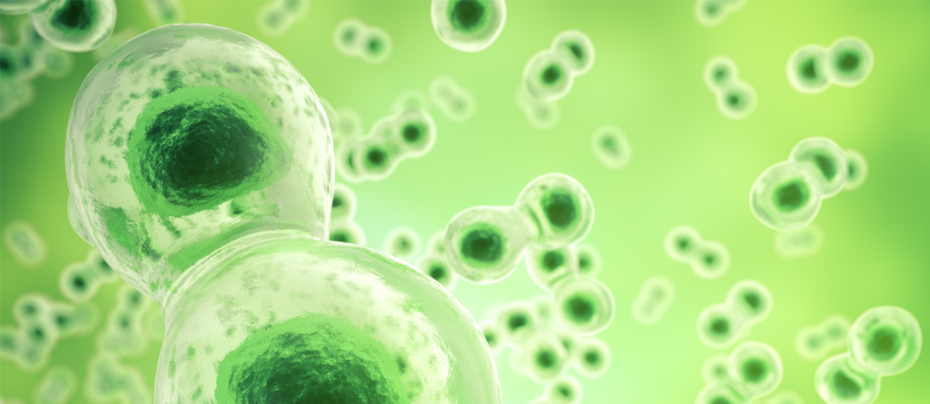 life-sciences