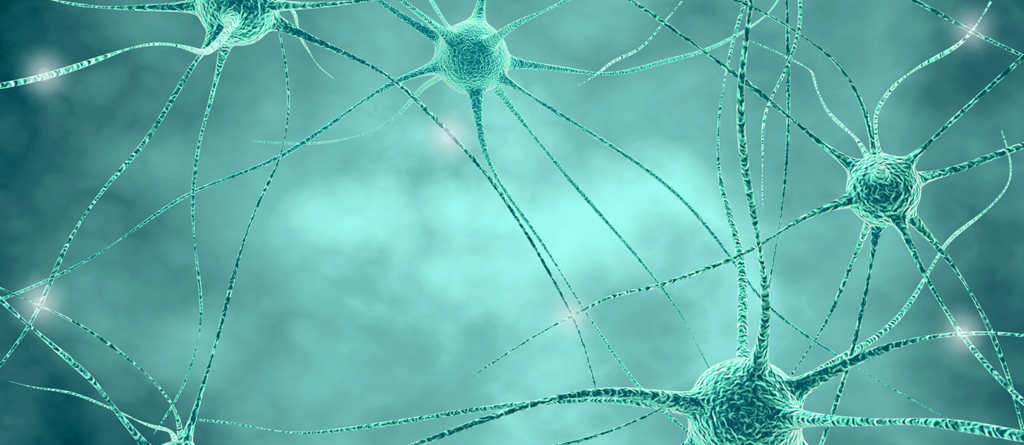 neuroscience