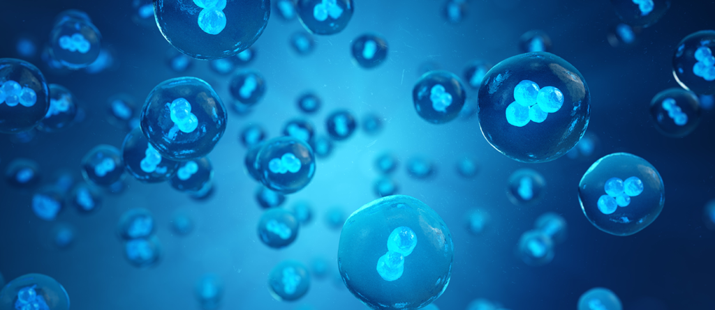 reproducibility-2