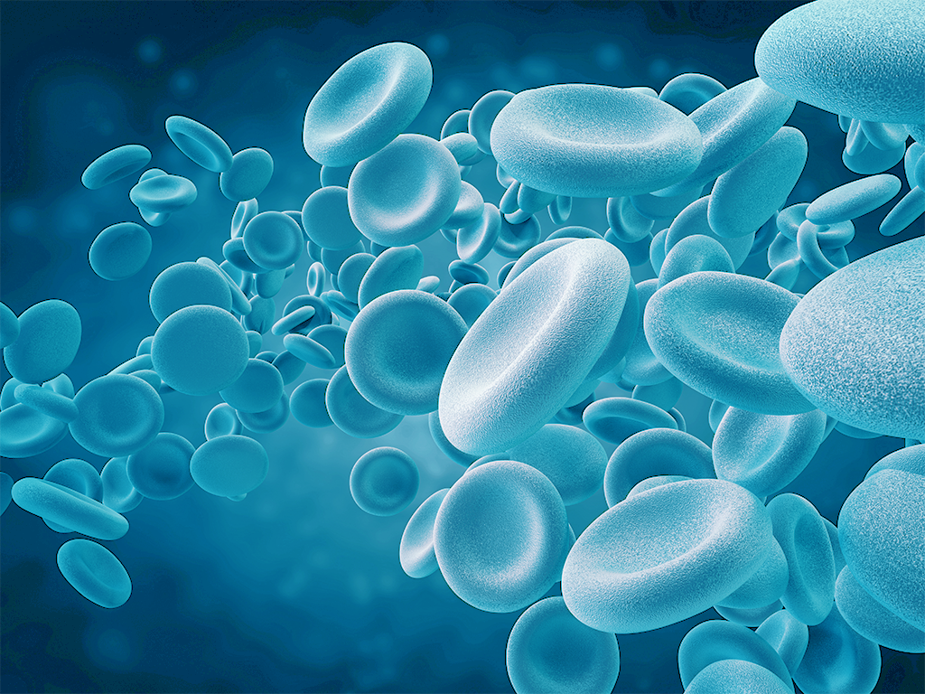 Patient-Matched Cytotoxic T Lymphocyte and Tumor Cell Lines