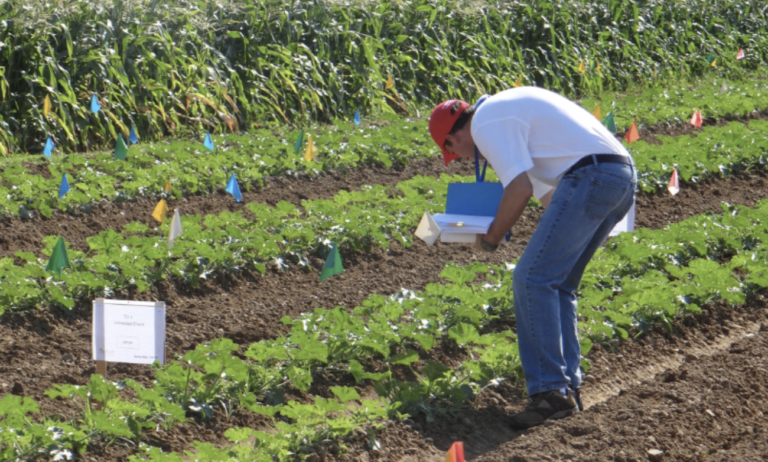 Bioefficacy Testing