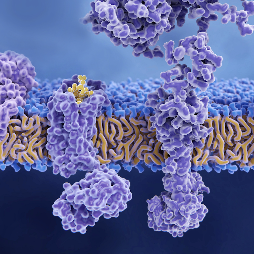 Membrane protein